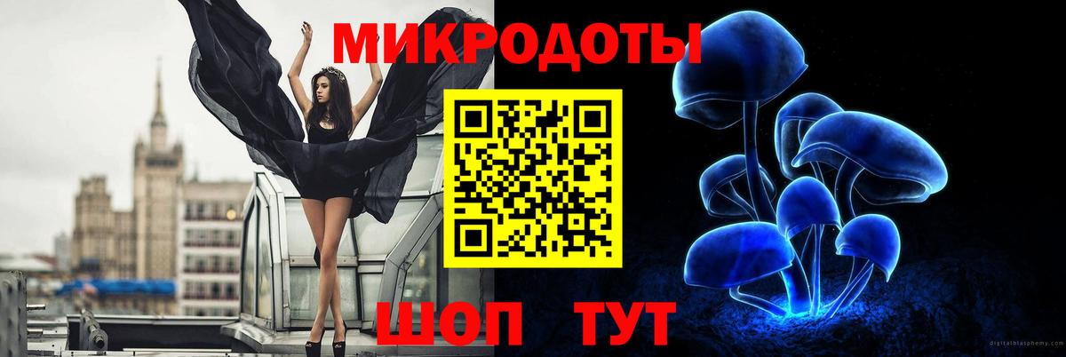 хочу   Псилоцибиновые грибы мухоморы  Вход с VPN  Гусиноозёрск 